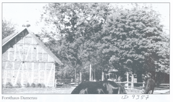 Gerdauen, Pferdekoppel am Forsthaus Damerau