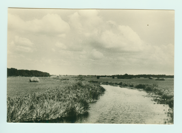 Inse, Wiesenlandschaft in Ortsnähe