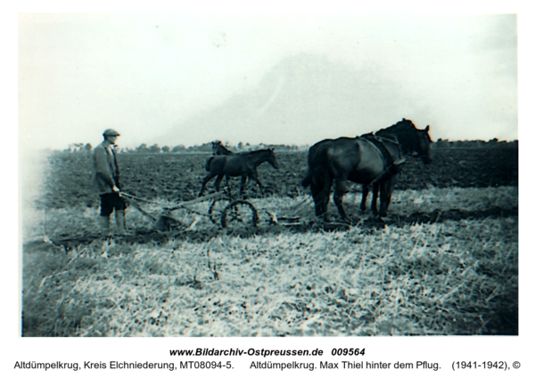 Altdümpelkrug. Max Thiel hinter dem Pflug