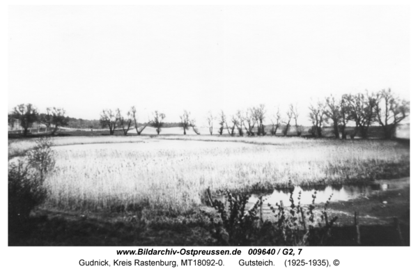 Gudnick, Gutsteich