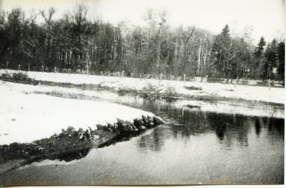 Barsen, Biegung des Frischings bei Kranzberg (Winteraufnahme)