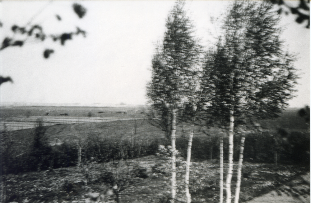 Barsen, Hof Grohnert, Blick aus dem Garten