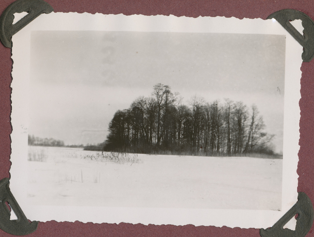 Truntlack, Insel im Rossensee, Winterbild