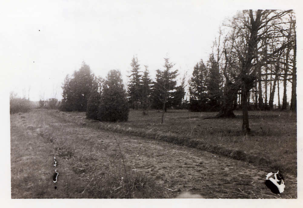 Worwegen, Park/Garten des Hofes von Otto Eisenblätter