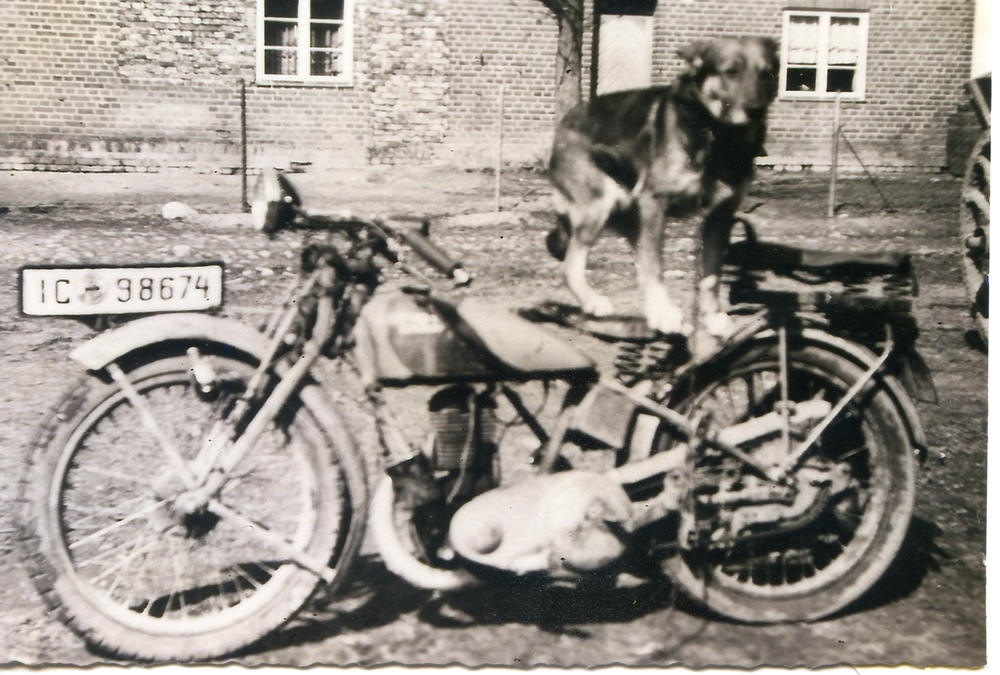 Worwegen, Hofhund "Rolf" auf dem Motorrad vor dem Wohnhaus Rautenberg