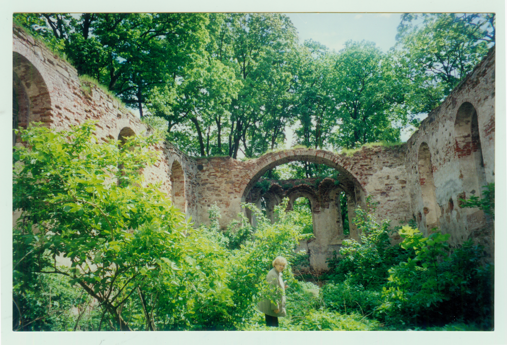 Schillen, Kirchenruine, Blick in das Kirchenschiff