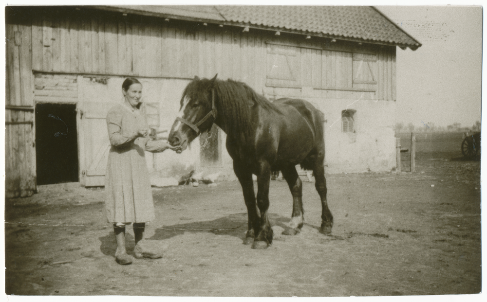 Ernsthof Kr. Preußisch Eylau, Hof Udaly, Frau mit Pferd