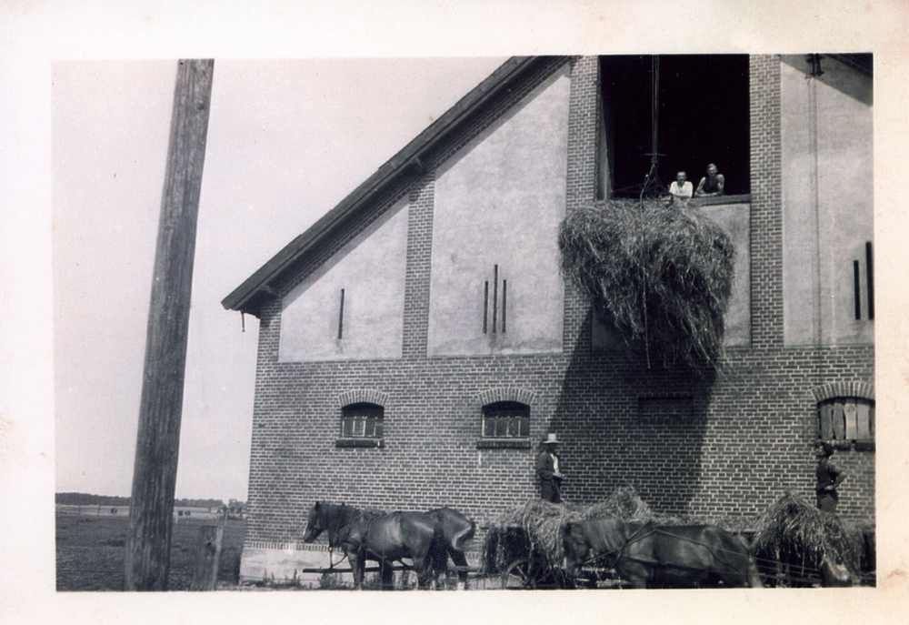 Packerau Kr. Heiligenbeil, Hof von Hermann Freudenreich, Viehstall