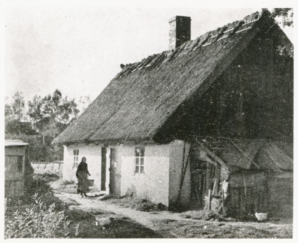 Tharau, Altes typisches Bauernhaus