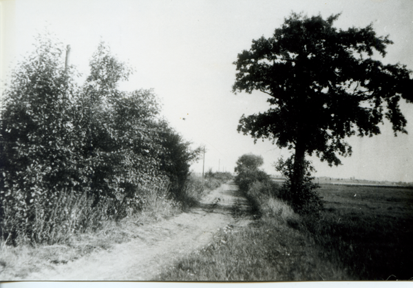 Barsen, Idyllischer Weg von Barsen nach Kranzberg