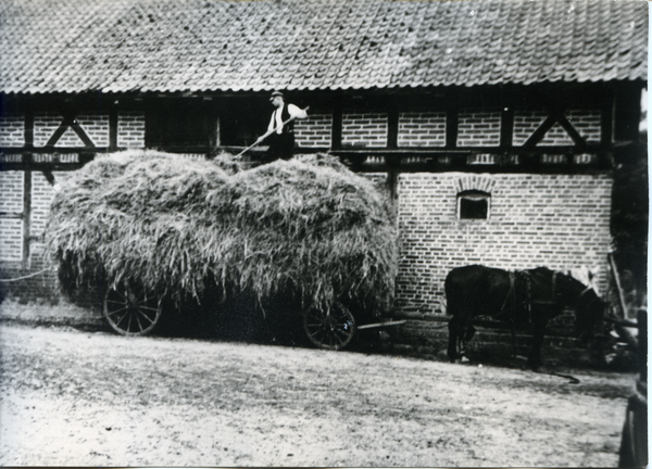 Barsen, Heu einfahren auf dem Hof Grohnert