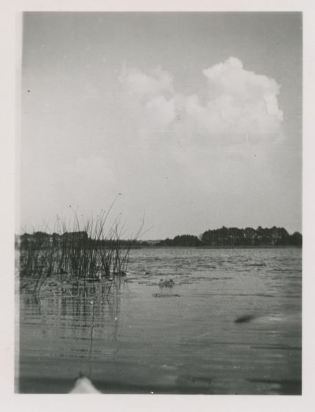 Truntlack, Der Rossensee