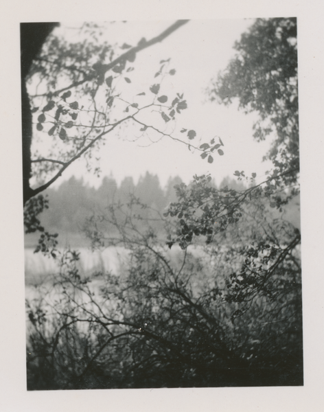 Truntlack, Rossensee, Blick von der Insel auf den Großen Wald