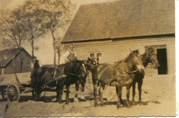 Worwegen, Vierergespann von Bauer G. Rautenberg vor seinem Wohnhaus