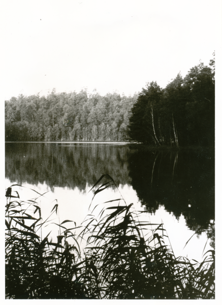Klein Steegen (Stega Mała), Waldsee