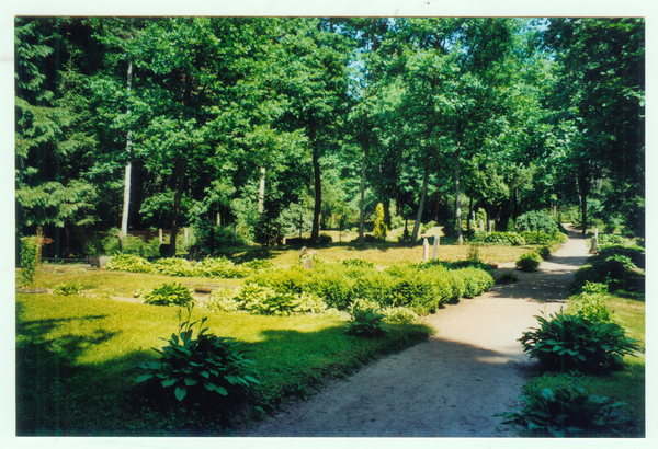 Bittehnen, Der Friedhof auf dem Rombinus