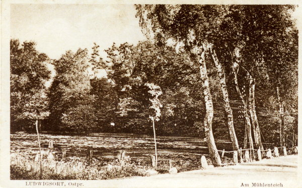 Ludwigsort, Am Mühlenteich