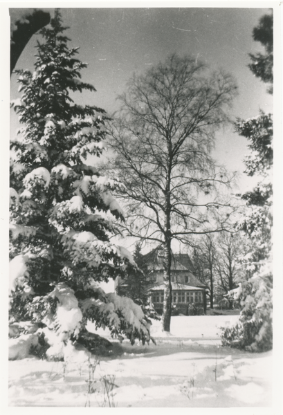 Ernsthof Kr. Preußisch Eylau, Gutshaus und Park im Winter