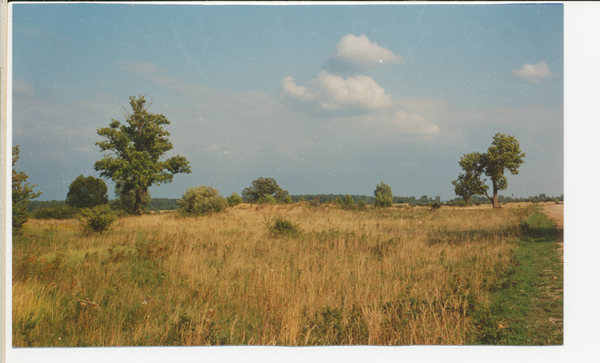 Blankenau, Ort (Ершово), Standpunkt des ehemaligen Dorfes am 10. September 1992