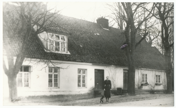 Tharau, Schule