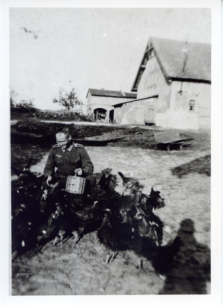 Pörschken Kr. Heiligenbeil, Herr Romanowski beim Federvieh