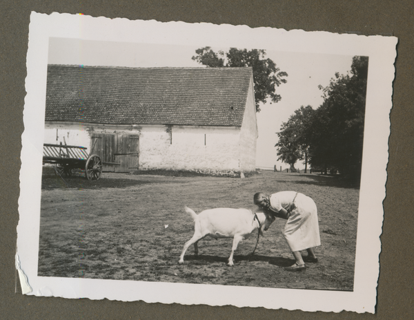 Truntlack, Veronika von Eichhorn mit Ziege vor der weißen Scheune