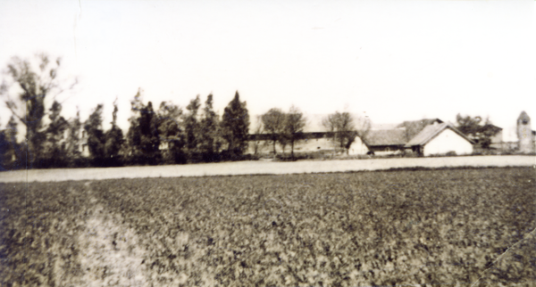 Lauck Kr. Heiligenbeil, Gut, Blick zum Wirtschaftshof