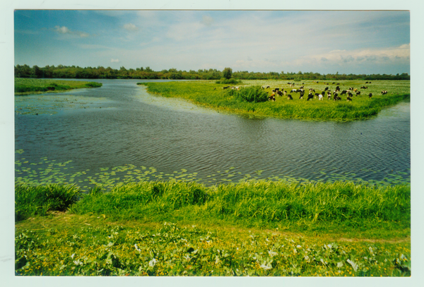 Seckenburg, Blick vom Gilgedeich über die Leekna