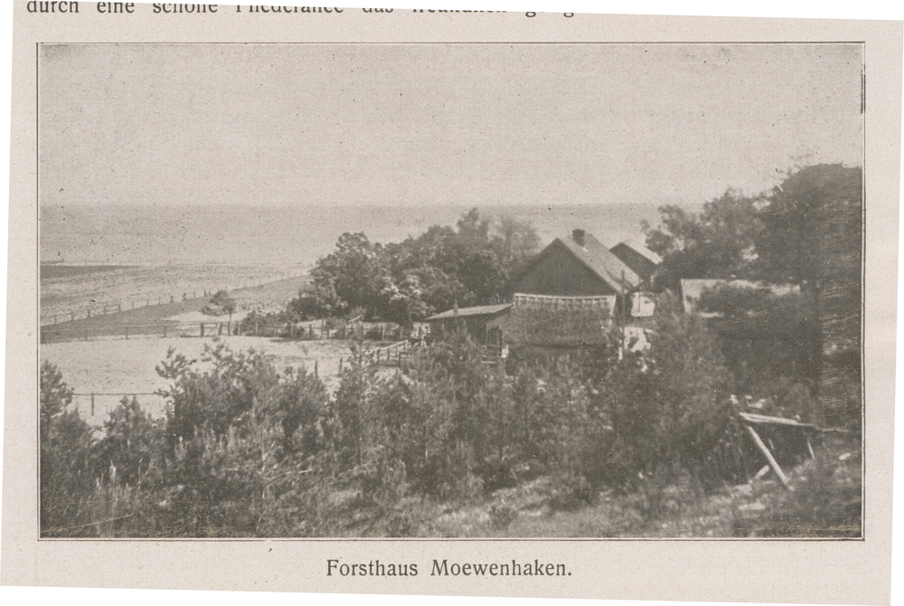Möwenhaken, Forsthaus