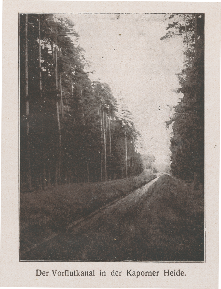 Kaporner Heide, Der Königsberger Vorflutkanal in der Kaporner Heide