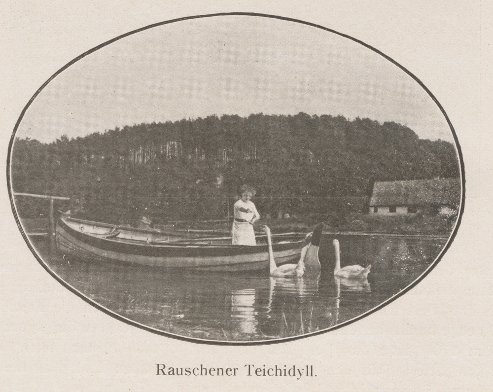 Rauschen Kr. Samland, Teichidyll