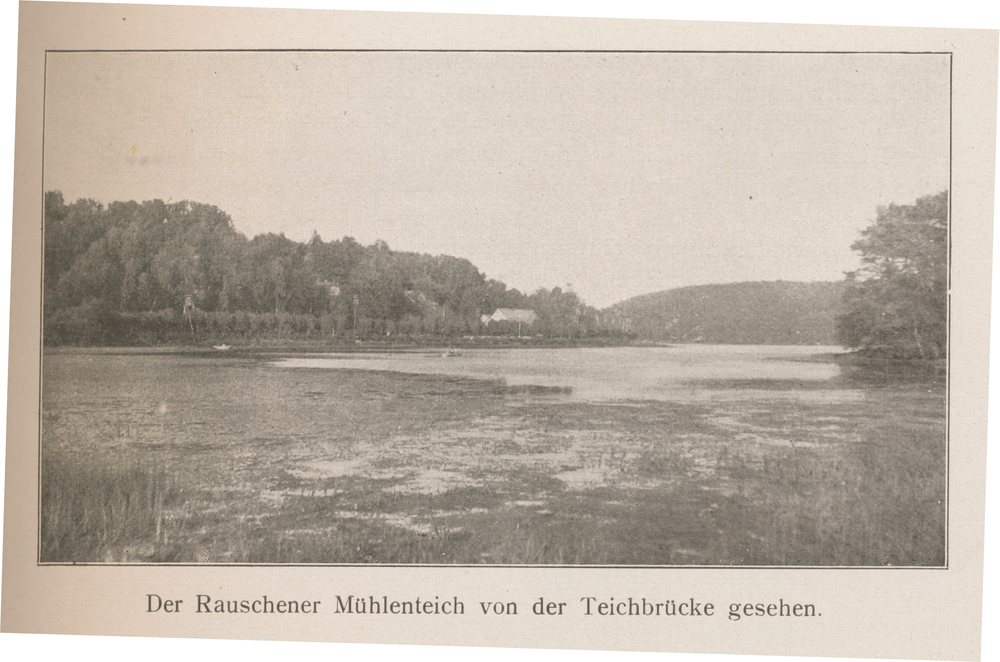 Rauschen Kr. Samland,  Der Mühlenteich von der Teichbrücke gesehen