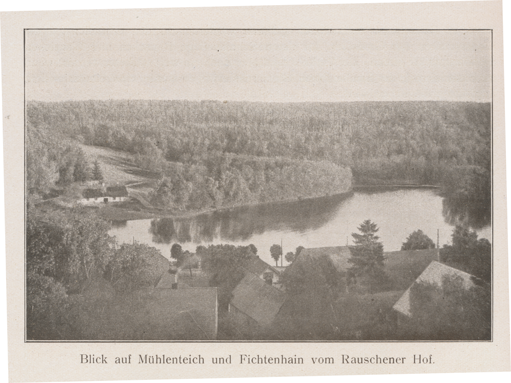 Rauschen Kr. Samland, Blick auf Mühlenteich und Fichtenhain vom Rauschener Hof