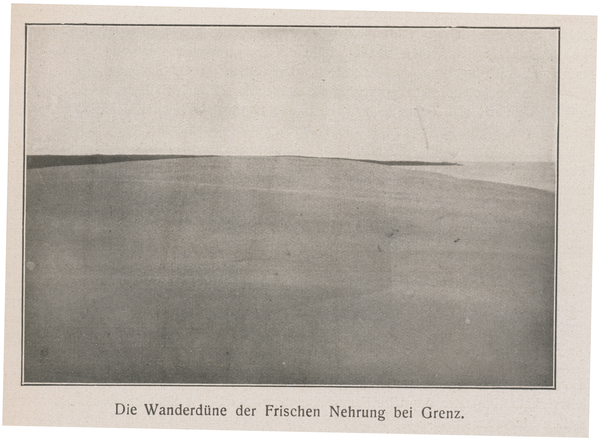 Frische Nehrung, Die Wanderdüne bei Grenz