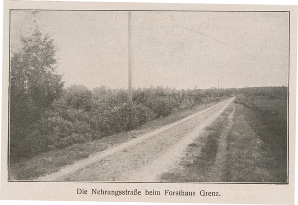 Frische Nehrung, Dei Nehrungsstraße beim Forsthaus Grenz