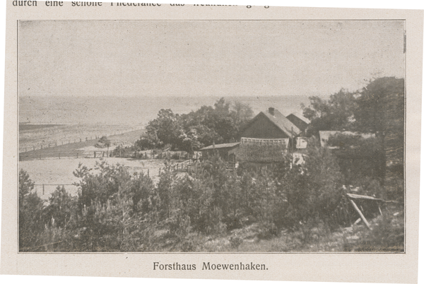 Möwenhaken, Forsthaus