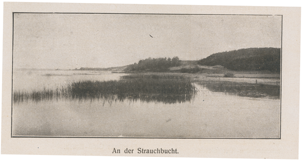 Strauchbucht, An der Strauchbucht