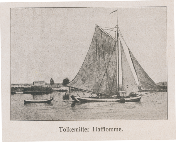 Tolkemit, Tollkemitter Hafflomme