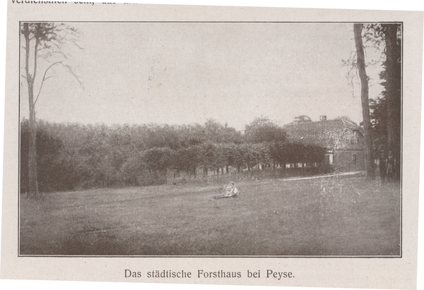 Peyse, Das städtische Forsthaus