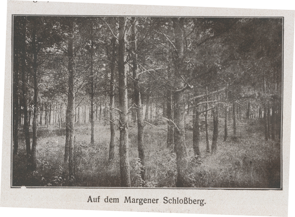 Margen Kr. Samland, Gut, Auf dem Schloßberg