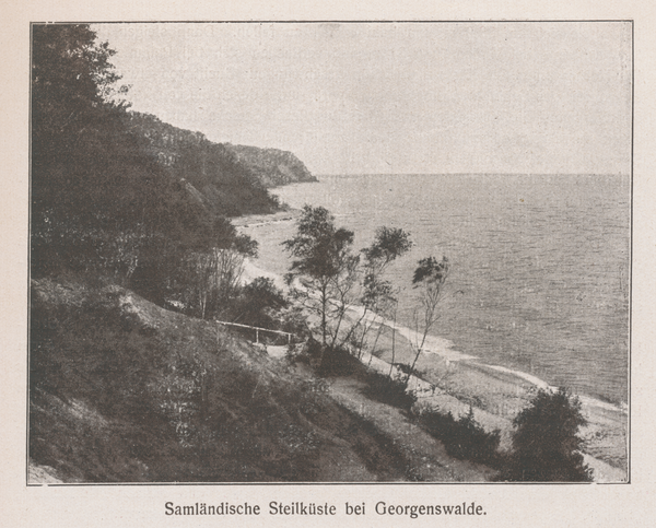 Georgenswalde, Samländische Steilküste