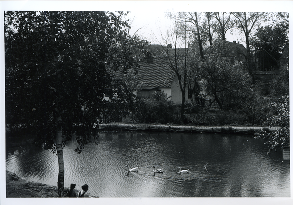 Bladiau, Dorfteich an der Wolittnicker Straße mit Blick zur Kirscheiter Straße