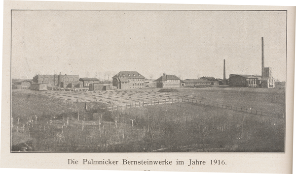 Palmnicken, Bernsteinwerk