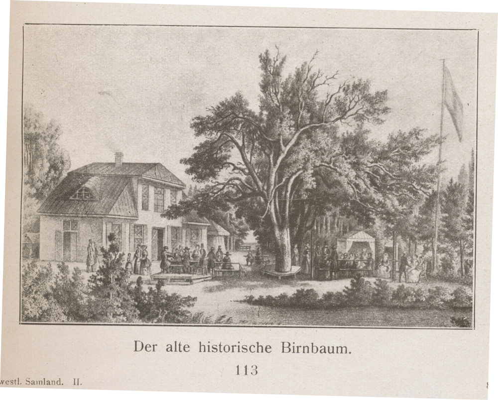 Neu Kuhren, Der alte historische Birnbaum (Lithographie)