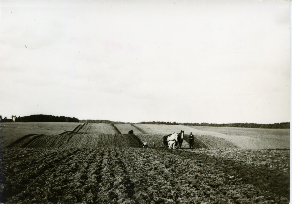 Groß Rödersdorf, Weite Felder