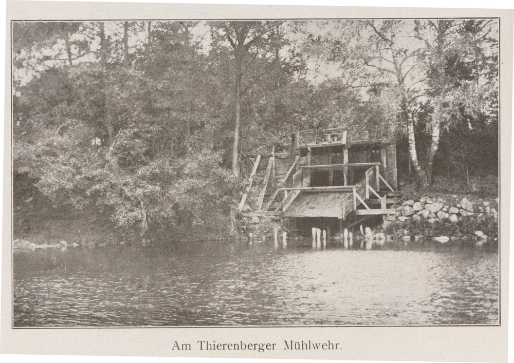 Thierenberg Kr. Samland, Am Mühlwehr