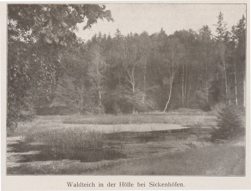 Sickenhöfen, Waldteich in der Hölle bei Sickenhöfen