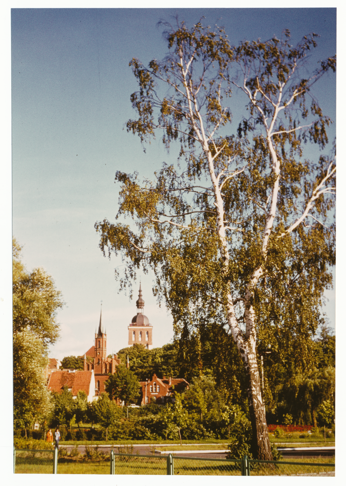 Frauenburg, Blick auf den Domberg mit Dom und Glockenturm