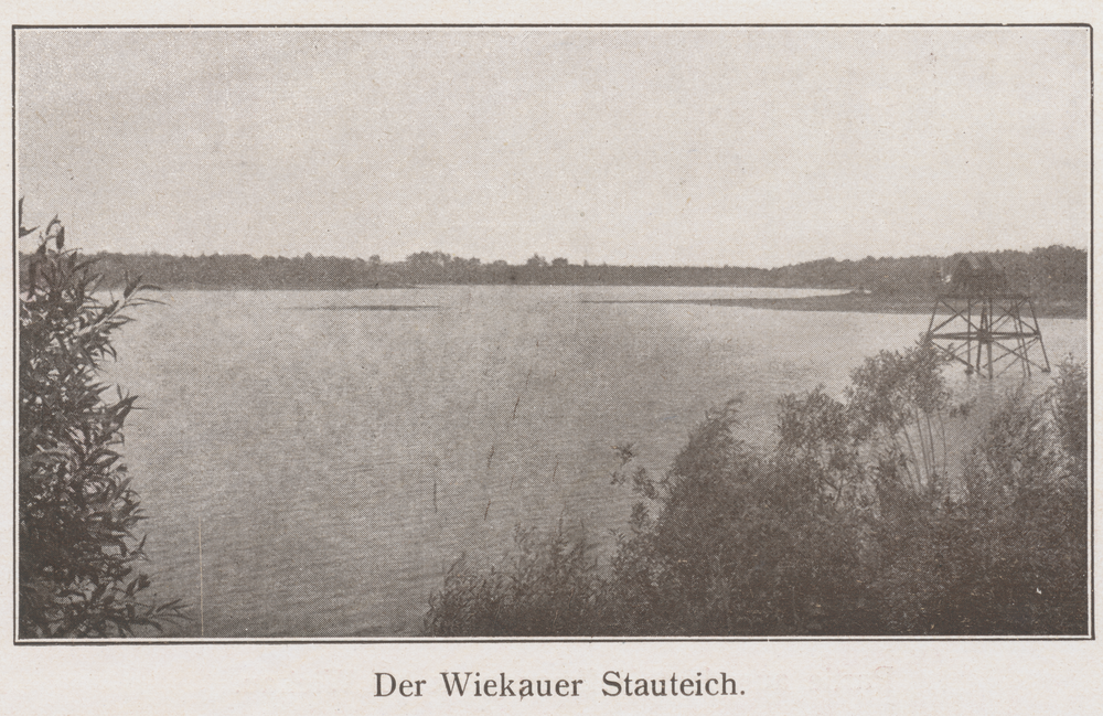 Wiekauer Teich