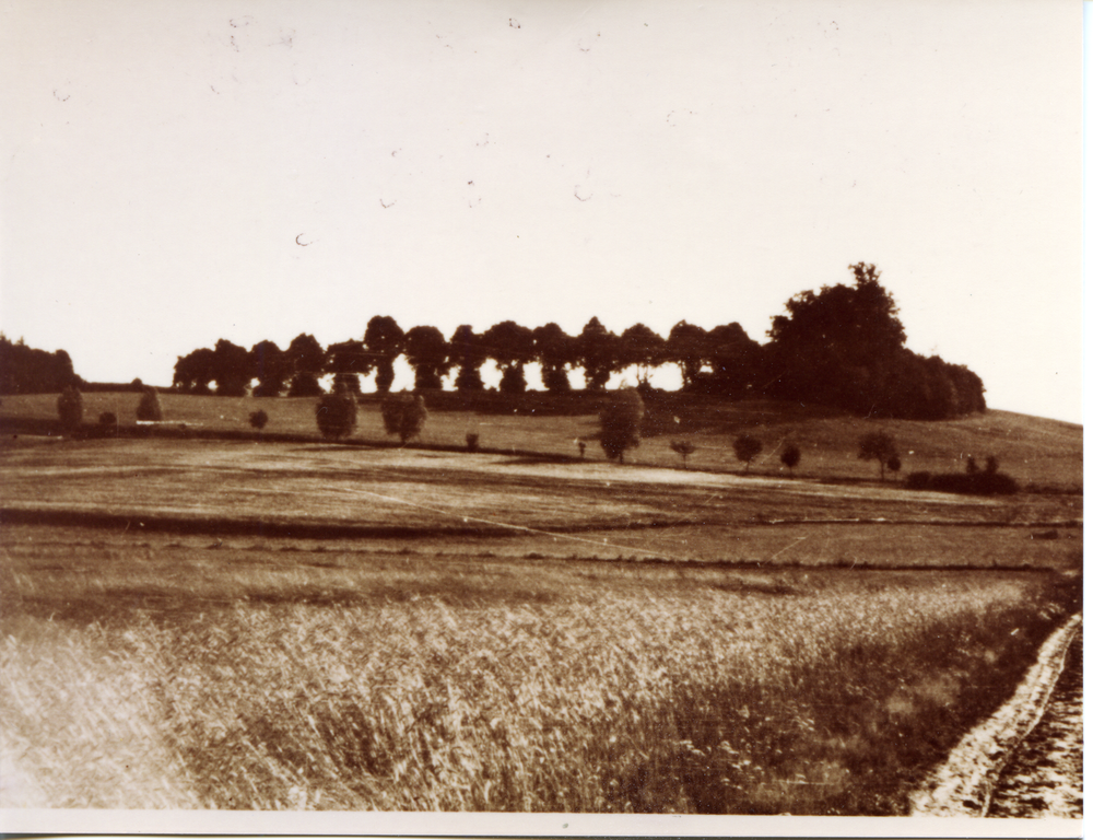 Grünwiese Kr. Heiligenbeil, Ort, Linden-oder Friedhofsberg